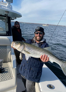 Striped bass caught in New York City