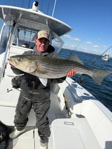 Striped bass caught by angler in New York City
