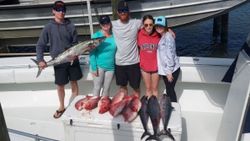 Discover Fishing in Dauphin Island