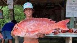 Offshore Inshore Blissful Fishing, Red Snapper