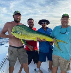 Mahi Mahi Trolling Fishing Delights Await