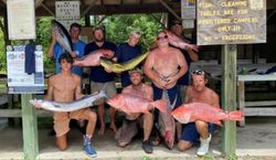 Snapper Fishing Adventures Unleashed