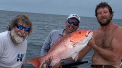 Dauphin Island Fishing Excitement