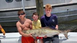 Offshore Fishing Thrills Captured in Alabama