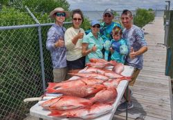 Inshore Fishing Gems Revealed, Red Snapper