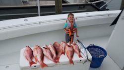 Book Dauphin Island Charters, Red Snapper