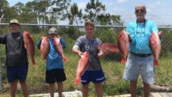 Unmatched Fishing in Dauphin Island, Red Snapper