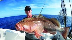 Plan Your Dauphin Island Fishing