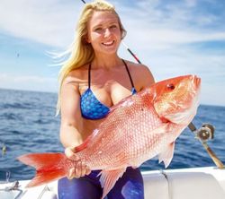 Snapper Fishing Glory Unveiled