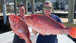 Reel in Dauphin Island Adventure, Red Snapper