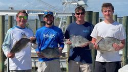 Offshore Fishing Expedition Highlights