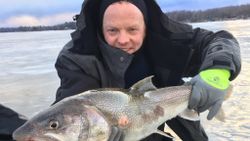 One angler fishing in Vermont