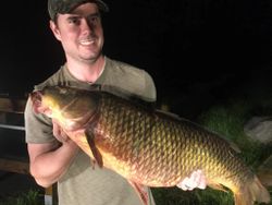 Grass Carp, a 23-inch fish, caught in Vergennes