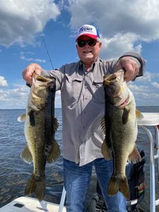 Two largemouth bass caught fishing in FL