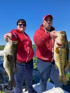 Largemouth bass caught while fishing in Orlando