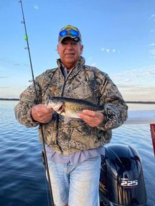 Largemouth Bass caught while fishing in FL