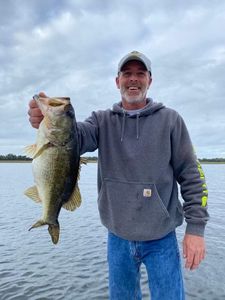 Largemouth Bass caught while fishing in FL