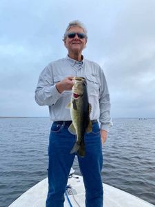 Largemouth Bass caught fishing in FL