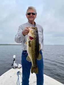 Largemouth bass caught fishing in FL