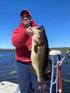 A largemouth bass caught while fishing in Orlando