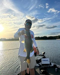 A large Largemouth Bass caught while fishing in Orlando