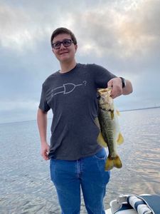 Largemouth bass caught while fishing in Orlando
