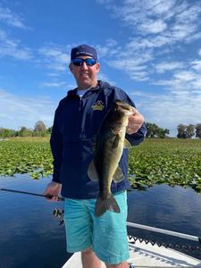 Largemouth bass caught while fishing in Orlando