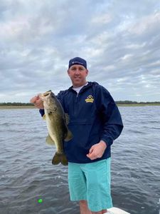 Largemouth Bass caught in Orlando, Florida