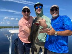 Largemouth bass caught while fishing in Orlando