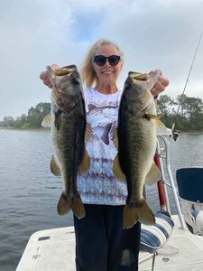 Two largemouth bass caught while fishing in Orlando