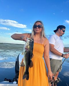 Largemouth bass caught in Orlando, Florida