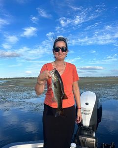 Largemouth Bass caught while fishing in Orlando