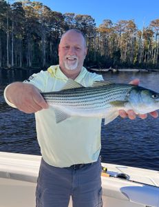 Neuse River Striper