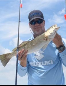 Pamlico Gator Trout