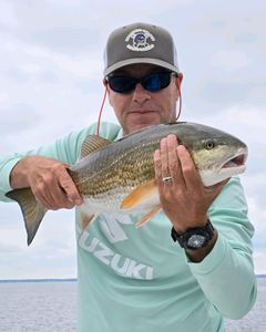 Neuse River Redfish