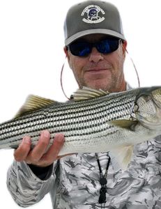 Fish-Species