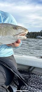 Angler fishing in NC