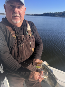 Great catch using light tackle on calm waters today!