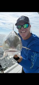 One blue catfish caught while fishing in NC