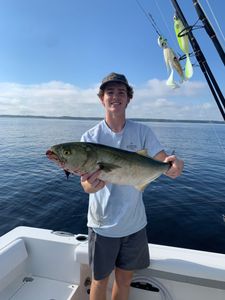 Bluefish, 23 inches, fishing and tours in NC