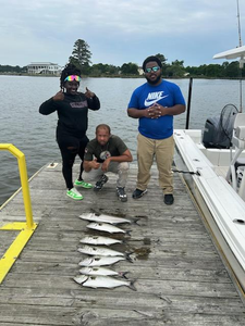 Two big bluefish reeled in at the scenic Lawson Creek Park