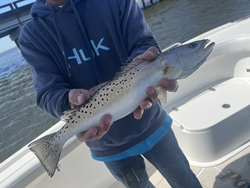 Caught a nice trout on the river today.