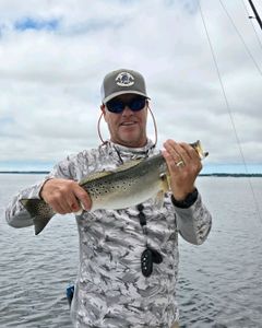 Hooked a stunning trout in Pamlico Sound.