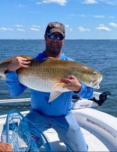 Oriental, NC Red drum; Old Drum, Bull Drum