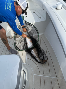 Light tackle adventure pays off with a great catch on deck!