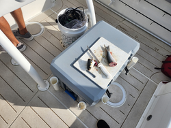 Fresh catch prep on deck - light tackle fishing adventure!