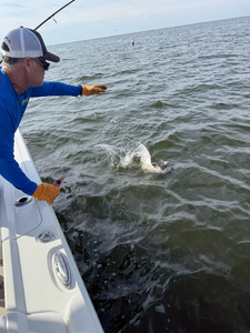 Great light tackle action today! Fish jumping right next to the boat.