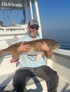 One person fishing in NC