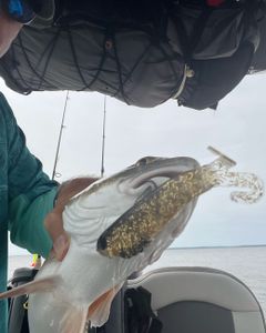 Fishing tours in the beautiful Oriental, North Carolina
