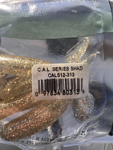 Fresh shad caught using light tackle on a perfect clear day - exciting results!